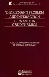 The Riemann problem... image