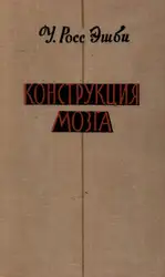 Конструкция мозга: происхождение... image