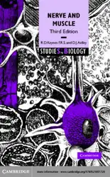 Nerve and Muscle image