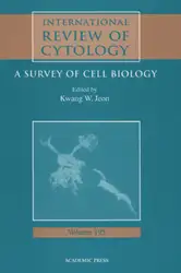 International Review of... image