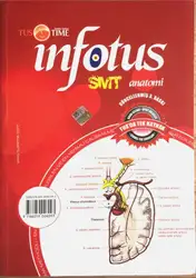 İnfotus SMT Anatomi... image