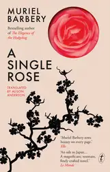 A Single Rose image
