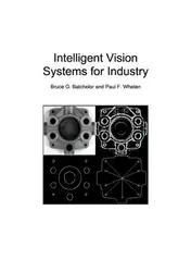 Intelligent vision systems... image