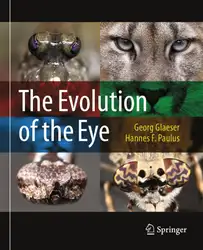 The Evolution of... image