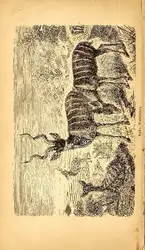 Reise in Nordost-Afrika.... image