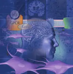 Mayo Clinic Medical... image