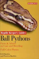 Ball Pythons (Reptile... image