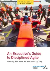 An Executive’s Guide... image