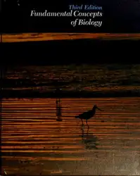 Fundamental concepts of... image