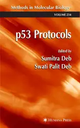 p۵۳ Protocols image