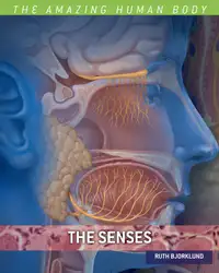 The Senses (The... image