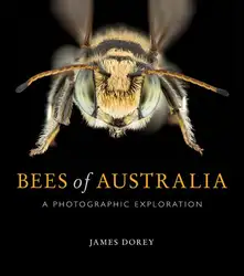 Bees of Australia:... image