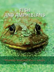 Britannica Illustrated Science... image