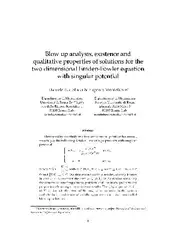 دانلود کتاب Blow up analysis, existence and qualitative properties of solutions for the two dimensional emden-fowler equation with singular potential