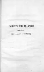 Echinides irreguliers J۰۹... image