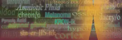 Medical Terminology: An... image