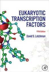 Eukaryotic Transcription Factors image