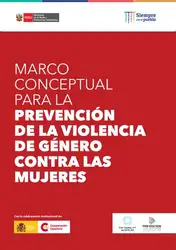 Marco conceptual para... image