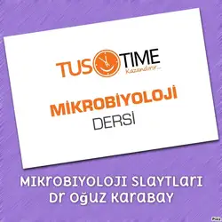 Mikrobiyoloji Slaytları image