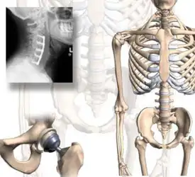 Orthopaedic Key Review... image