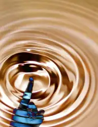 Conceptual Physics image