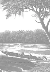 Viagens pelo Amazonas... image