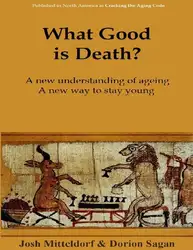 What Good is... image