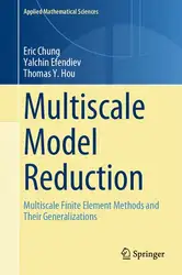 Multiscale Model Reduction:...