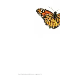 Science, Evolution, and... image