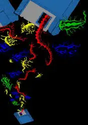 The Little Black... image