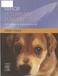 Minor Veterinary Surgery:... image