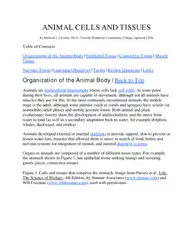 ANIMAL CELLS AND... image