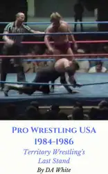 Pro Wrestling USA... image