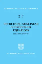 Defocusing Nonlinear Schrodinger...