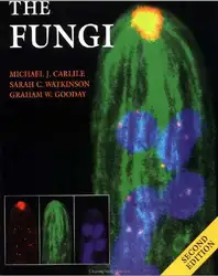 The Fungi image