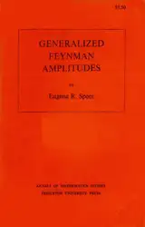 Generalized Feynman amplitudes image