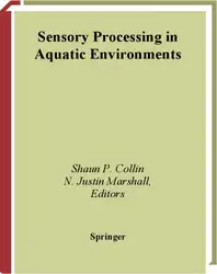 Sensory Processing in... image