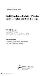 Soft Condensed Matter... image