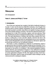 Ribozyme Protocols image