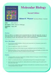 Molecular Biology image