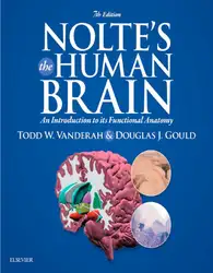 Nolte’s The Human... image