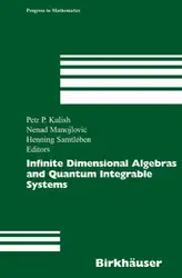 Infinite Dimensional Algebras... image