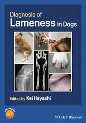 Diagnosis of Lameness... image
