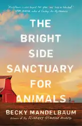 The Bright Side... image