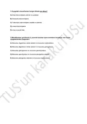 TUS’un karakuTUS’u ۳.Tus... image