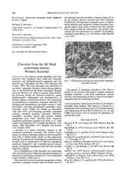 Churchite from the... image