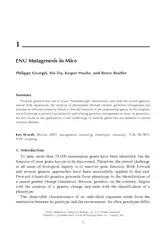 Innate Immunity image