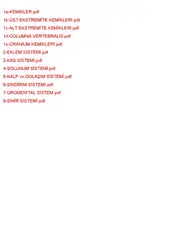 Anatomi Spot Notu image