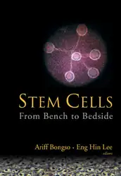 Stem Cells. From... image