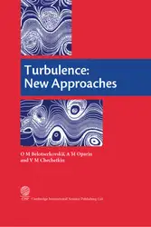 Turbulence: new approaches image